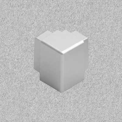 21MS