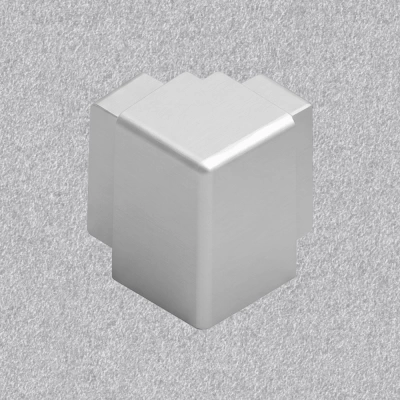 21MS