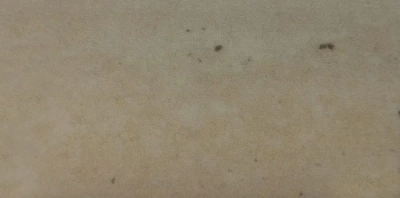 213