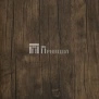 Персеполь темный