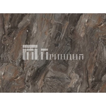 чиполлино черная