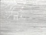 9005 дуб северный