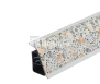 1218_AP850