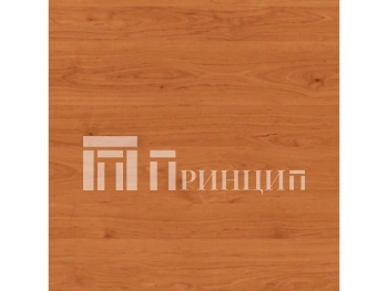 Ольха