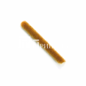 Шлегель 7х6 золото