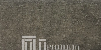 верона