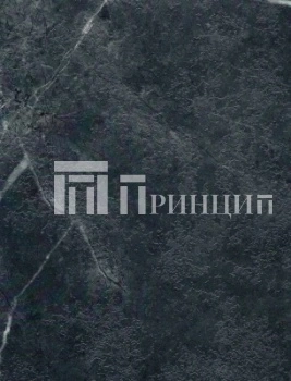 Алатау 9019