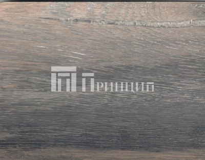 9004 дуб тренто