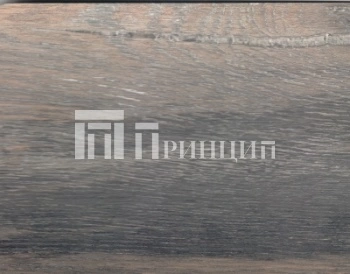 9004 дуб тренто