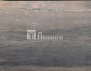 9004 дуб тренто
