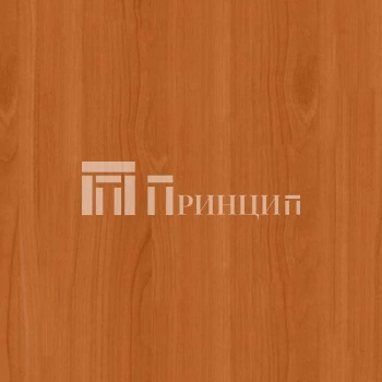 Вишня Оксфорд