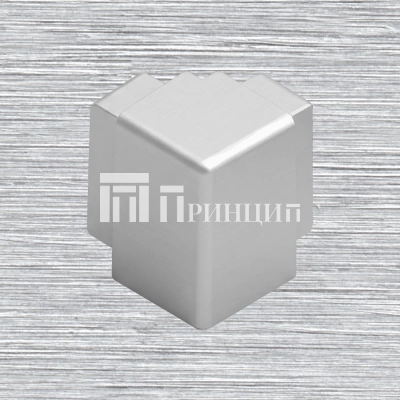 17BMS