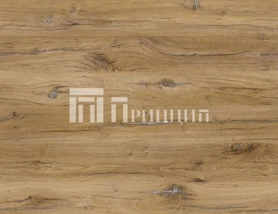 Дуб флагстафф