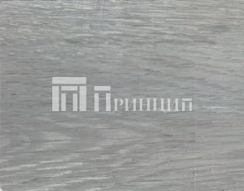 9001 дуб хоккайдо