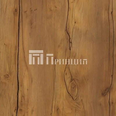 Таксония темная