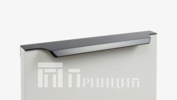 RT111BL.1-224-300