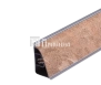 1243_AP850