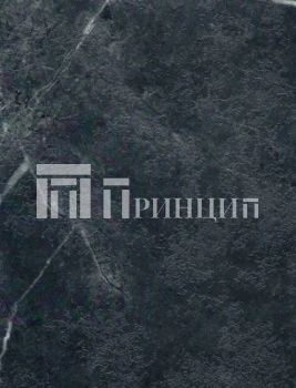 Алатау 9019