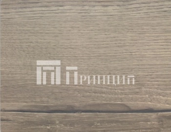9014 баварский дуб