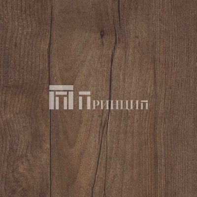 Таксония