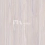 Баунти