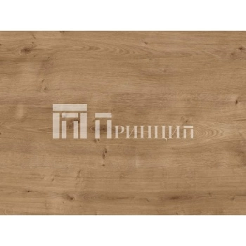 дуб арлингтон