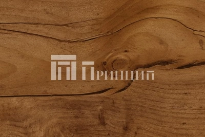 Таксус
