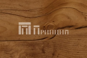 Таксус