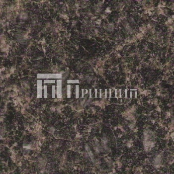 Лабрадор