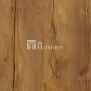 Таксония темная