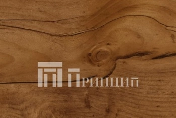 Таксус