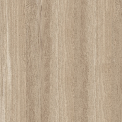 Дуб Рокпайл