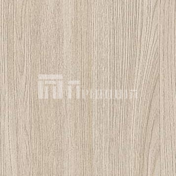 Ясень Шимо светлый