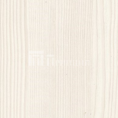 Бодега светлая