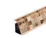 1228_AP850