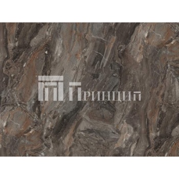 чиполлино черная