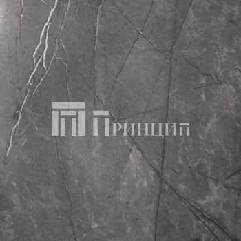 Серый каспий