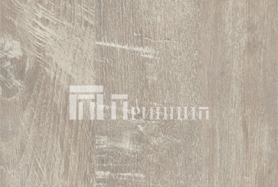 беж сосна фронтер