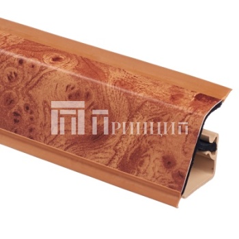 корень вяза