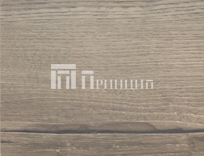 9014 баварский дуб