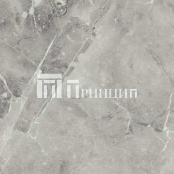 Тарсис белый