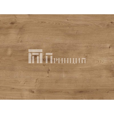 дуб арлингтон