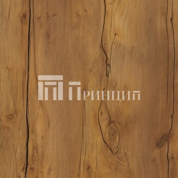 Таксония темная