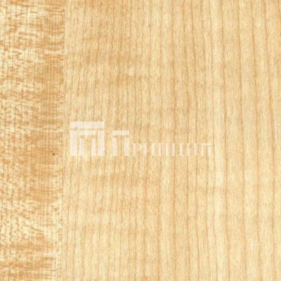 Клен Танзау