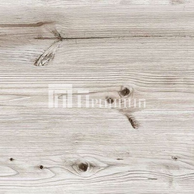 Бискайская Сосна