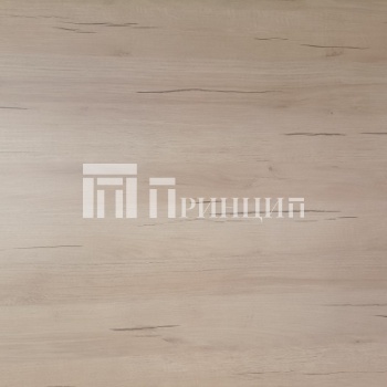 Дуб Ривьера