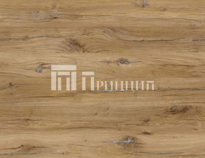 Дуб флагстафф