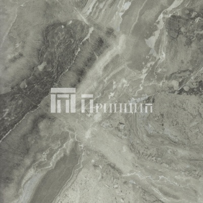 Паладина светлая