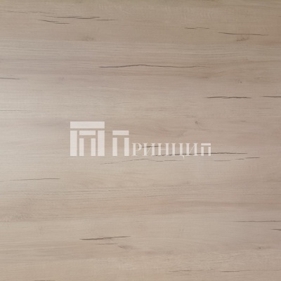 Дуб Ривьера