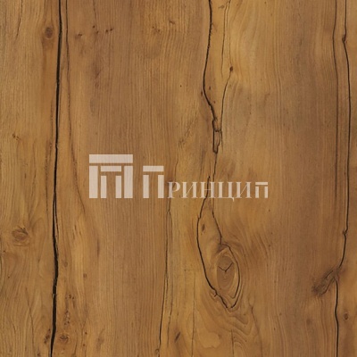 Таксония темная